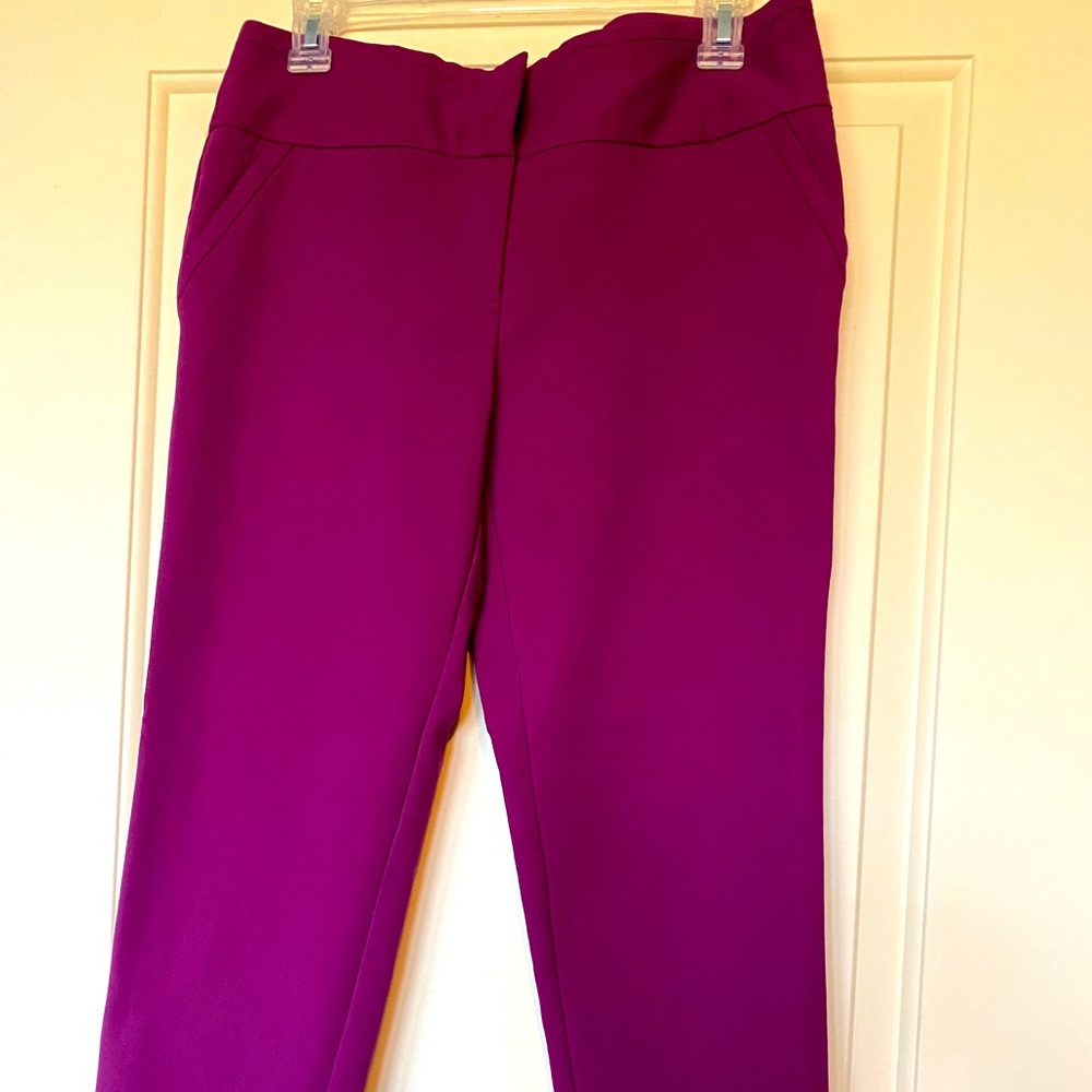 New York Company pants